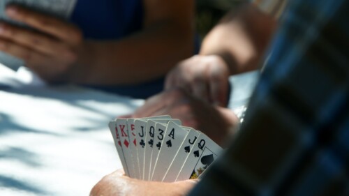 people playing cards