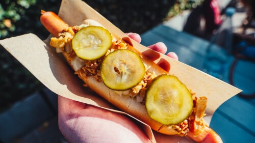 a person holding a hot dog with cucumbers on it